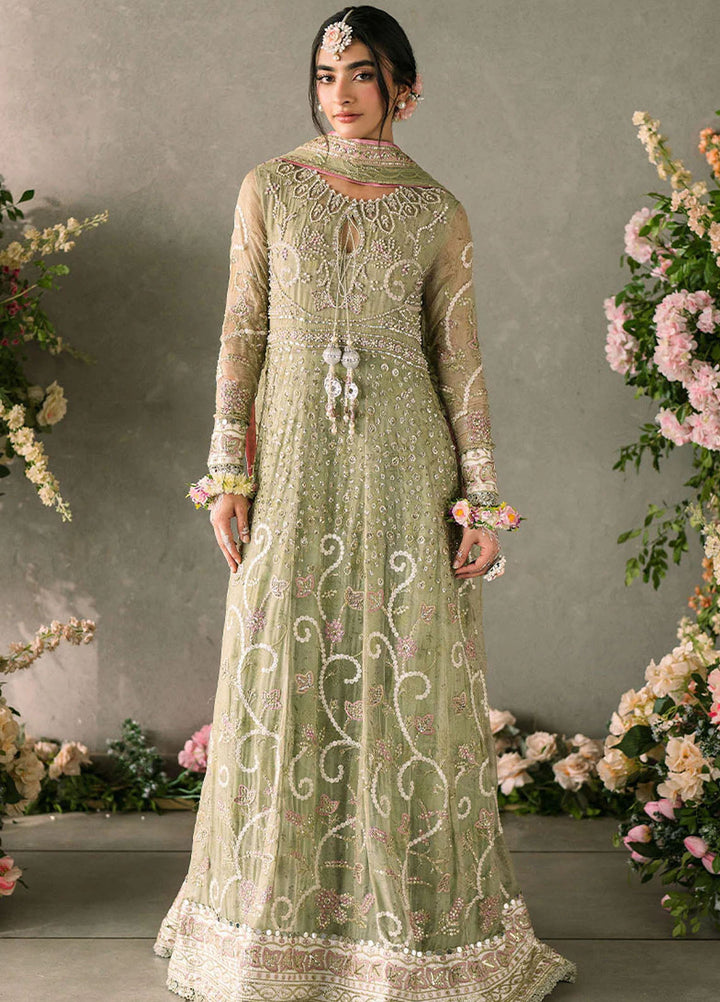 Mushq Embroidered Chiffon Suits Unstitched 3 Piece MQ25MR MCH-10 Namar - Formals Collection
