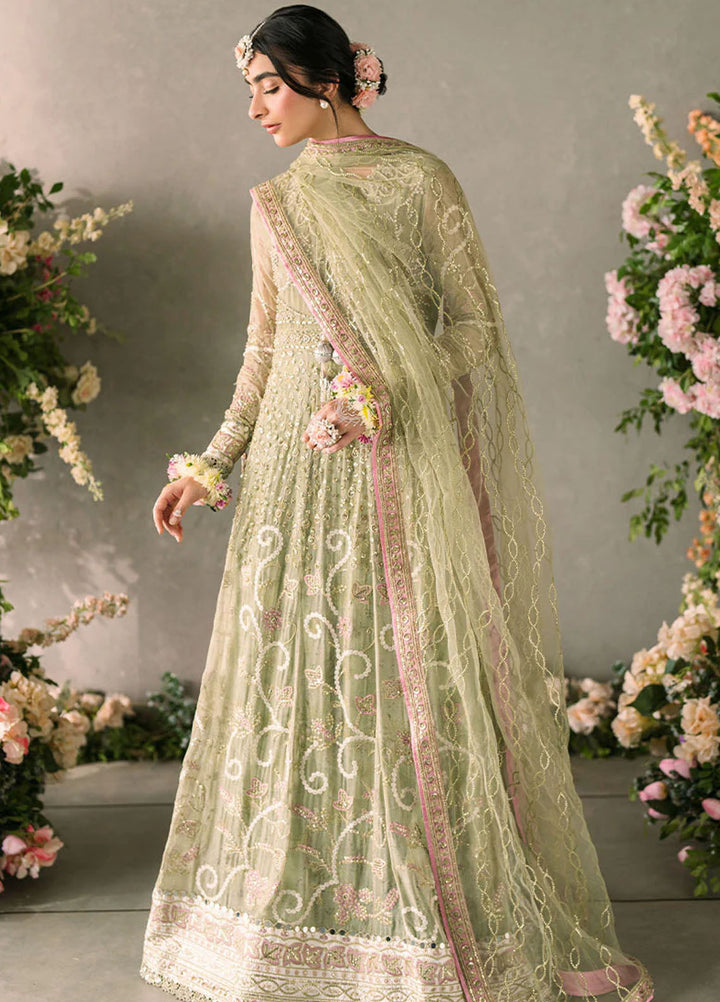 Mushq Embroidered Chiffon Suits Unstitched 3 Piece MQ25MR MCH-10 Namar - Formals Collection