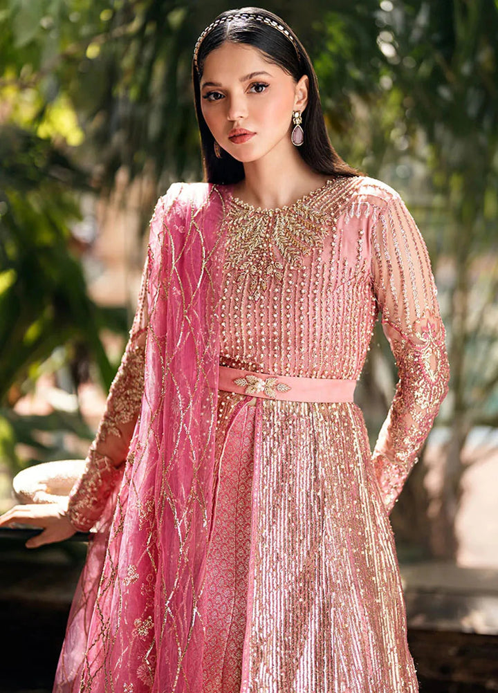 Mushq Embroidered Net Suit Unstitched 4 Piece MQ25MW MWD-04 Bonafide - Formals Collection
