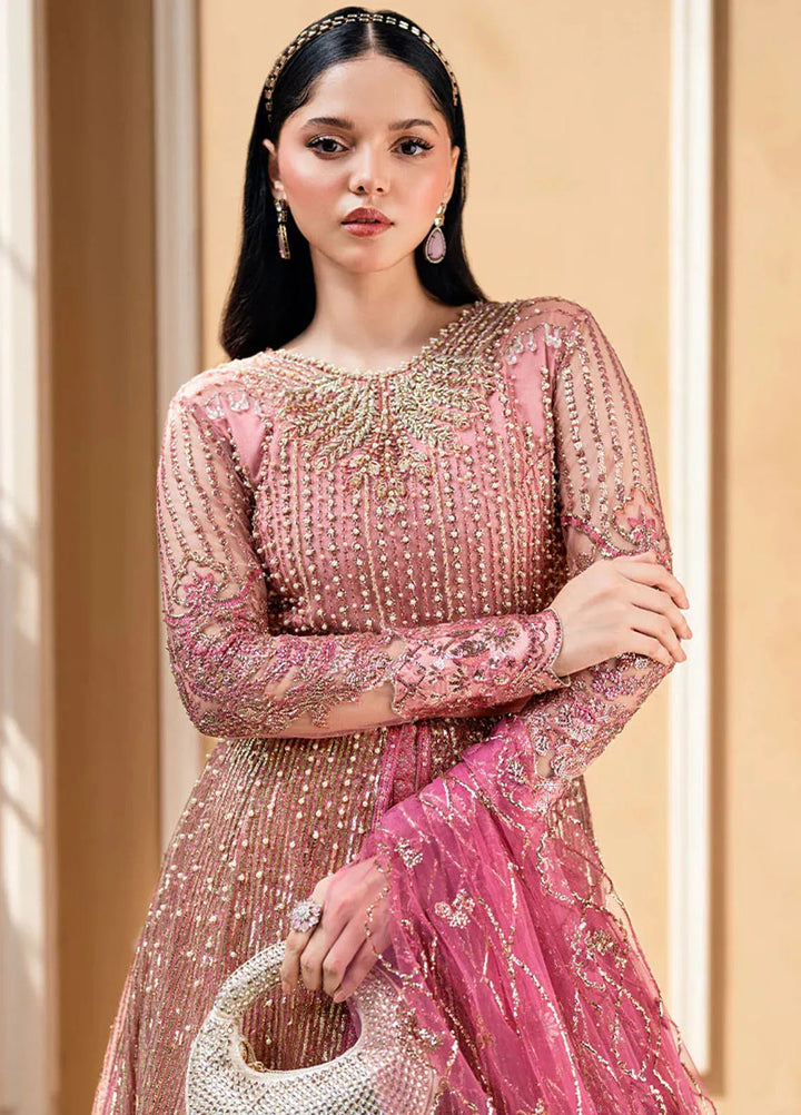 Mushq Embroidered Net Suit Unstitched 4 Piece MQ25MW MWD-04 Bonafide - Formals Collection