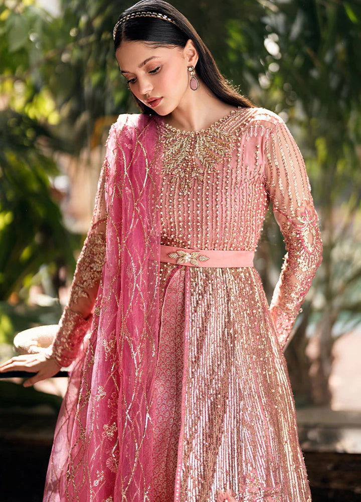 Mushq Embroidered Net Suits Unstitched 3 Piece MQ25MR MWD-04 Bonafide - Formals Collection