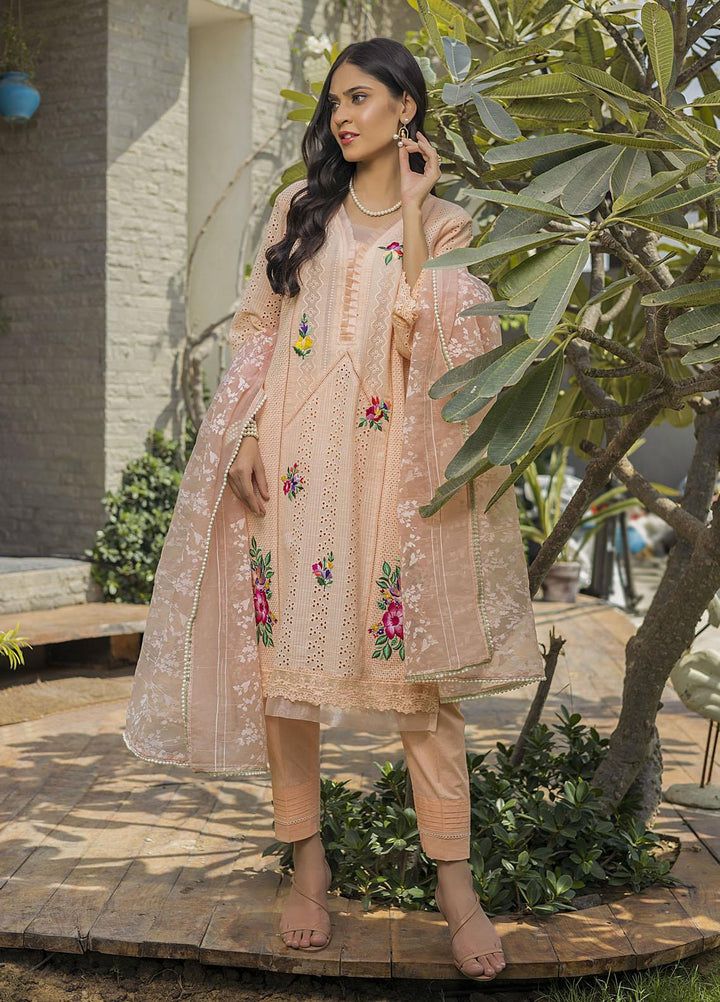 Sidra Mumtaz Ready to Wear (RTW)  Schiffli 3 Piece Suit SM-TH220309 TEHREEM