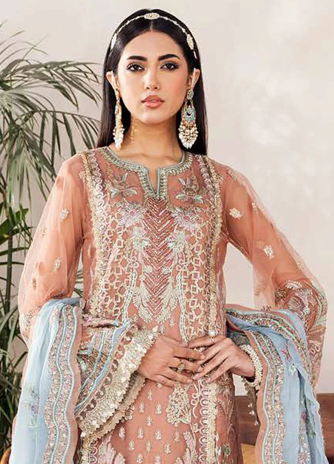 Nazneen by Avyana  Embroidered Net Suit Unstitched 4 Piece AV24N Hayaat - Formal Collection