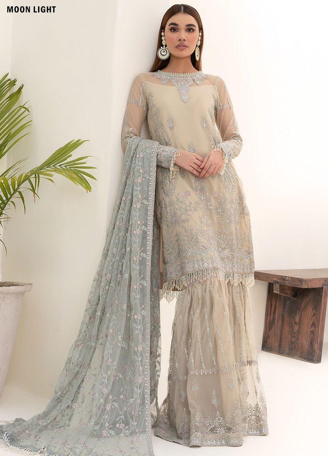 Nazneen By Zarif Embroidered Net Suits Unstitched 4 Piece ZR25UF ZN 04 Moon Light - Luxury Formal Collection