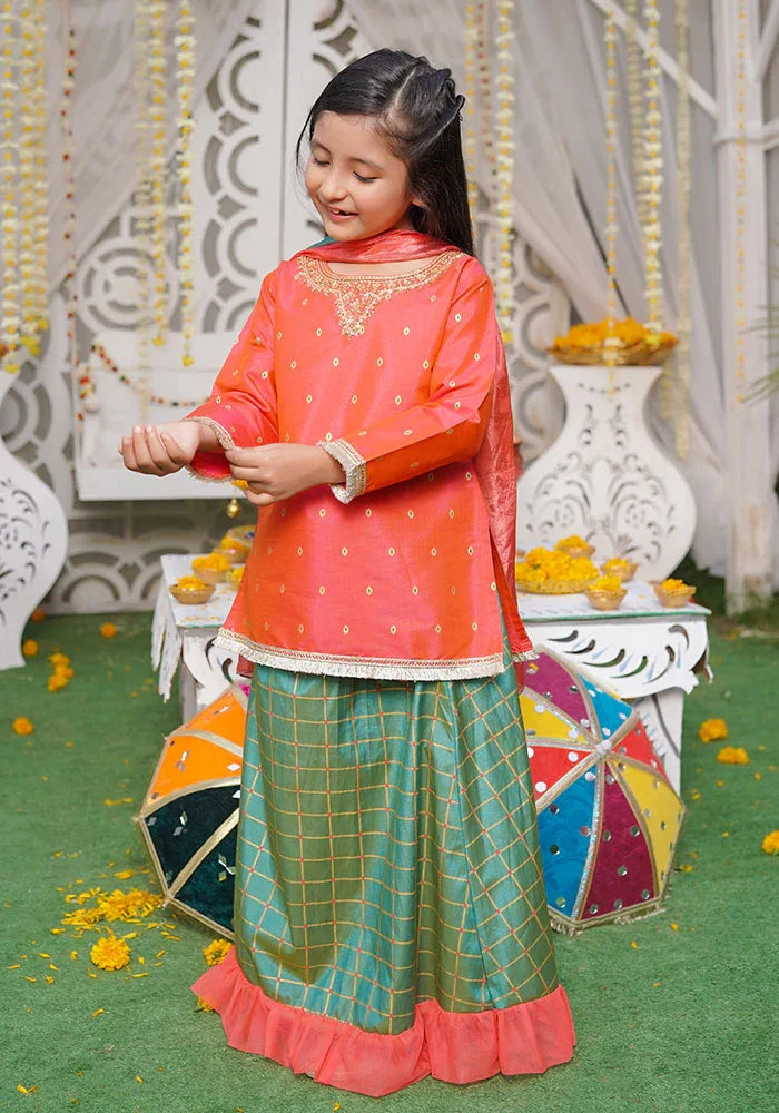 Ochre RTW Embroidered Cotton Silk Hand Adda Work Girls 3 Piece OFW-532 - Winter Collection