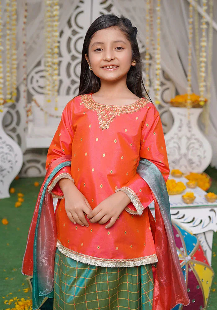 Ochre RTW Embroidered Cotton Silk Hand Adda Work Girls 3 Piece OFW-532 - Winter Collection