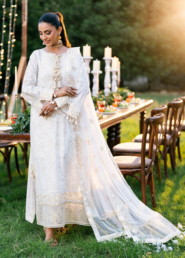 Noor-e-Khaas by Salitex Embroidered Lawn Suits Unstitched 3 Piece UNS25WW001UT - Summer Collection