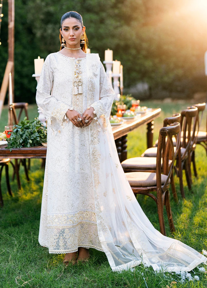 Noor-e-Khaas by Salitex Embroidered Lawn Suits Unstitched 3 Piece UNS25WW001UT - Summer Collection