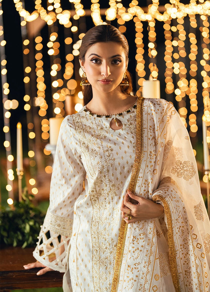 Noor-e-Khaas by Salitex Embroidered Lawn Suits Unstitched 3 Piece UNS25WW004UT - Summer Collection