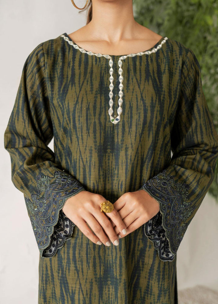 Nuriyaa Casual Pret  Khaddar 2 Piece Suit NR21WT DIVA