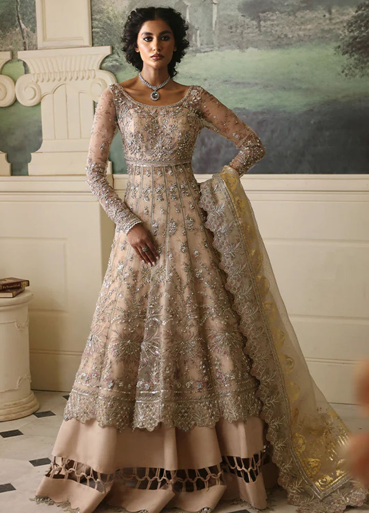 Nyra Pret Embroidered Organza 3 Piece Suit Dahlia