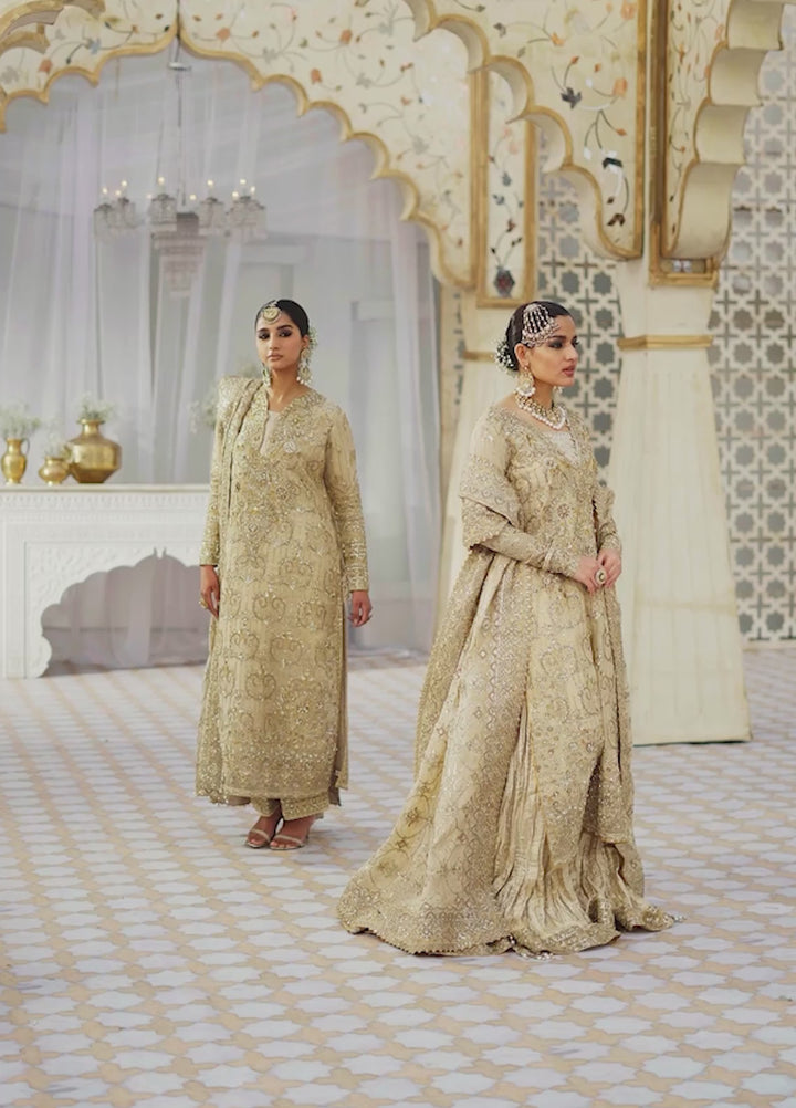 Aik Atelier Embroidered Organza Suits Unstitched 3 Piece AIK25EF Vl1 Look 02 - Formals Collection