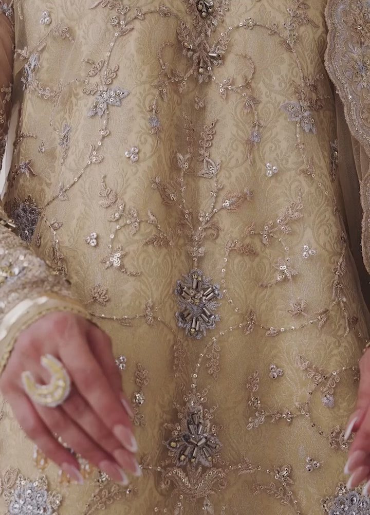 Aik Atelier Embroidered Net Suits Unstitched 3 Piece AIK25WU D-06 - Formals Collection