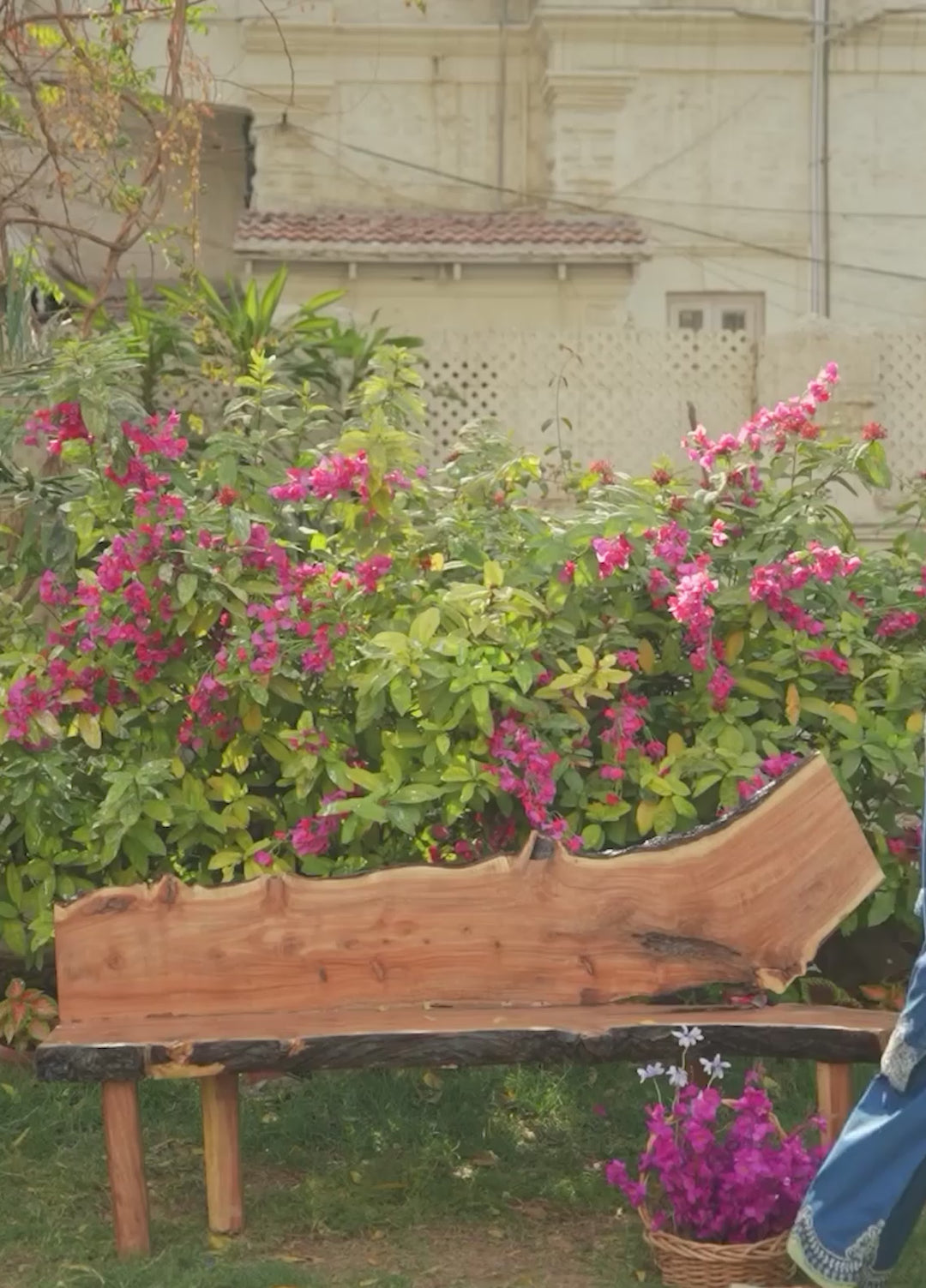 Lamhay by Dhanak Pret Swiss Voile 3 Piece DHN26PSV DC-2580 - Summer Collection