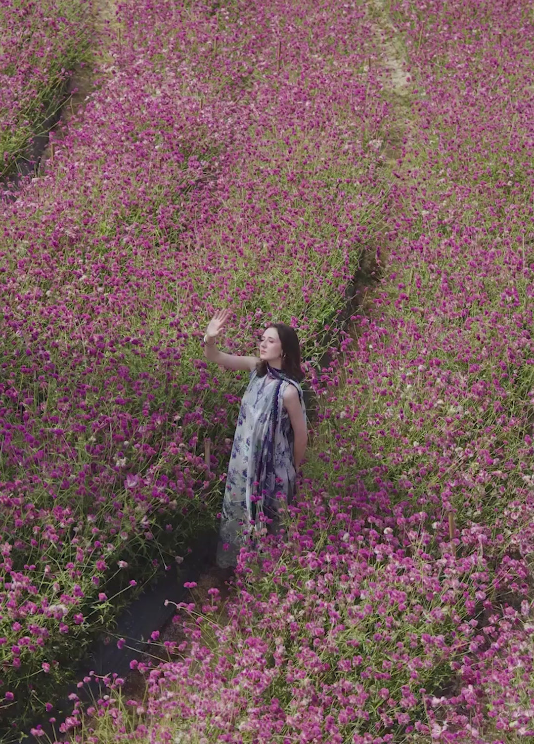The Scent Of Summers by Yards Unstitched Embroidered Lawn 3 Piece Suit Violet Dewdrop Casual Collection
