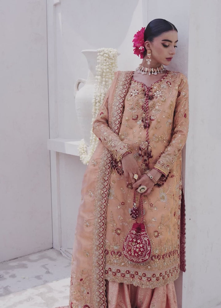 Aik Atelier Embroidered Tissue Suits Unstitched 3 Piece AIK25WU D-02 - Formals Collection