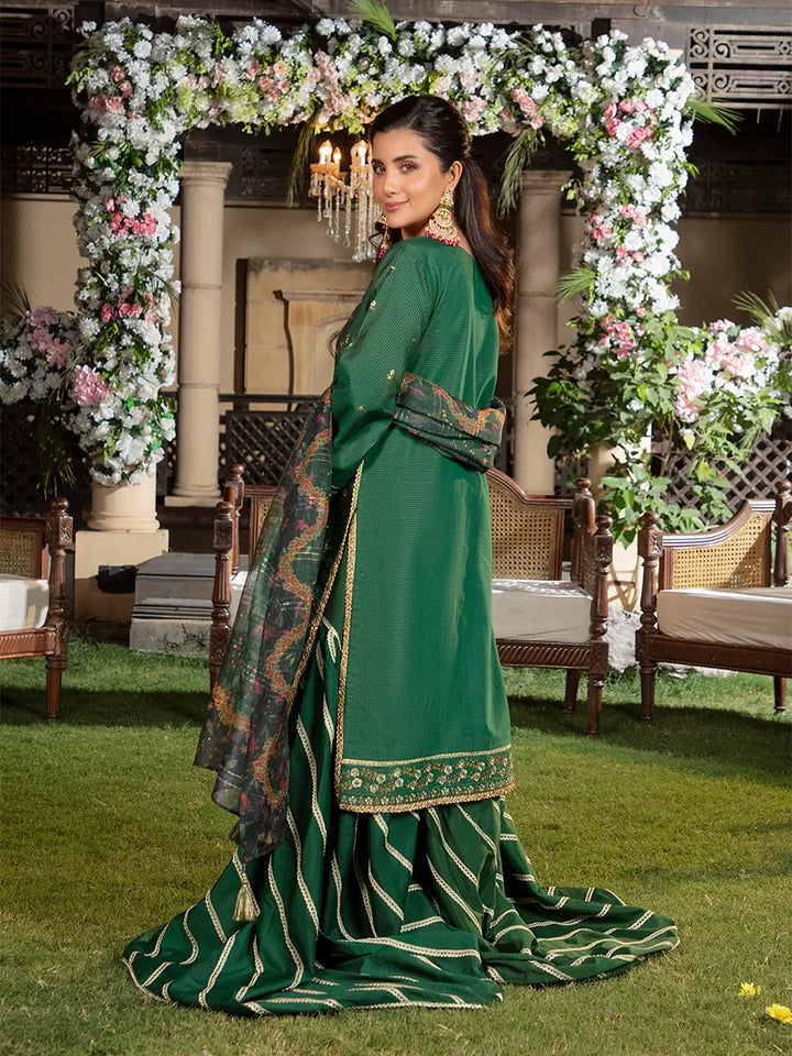 Jashn e Noor by Salitex Unstitched Embroidered 3 Piece Raw Silk SUNW7JI079 - Summer Collection