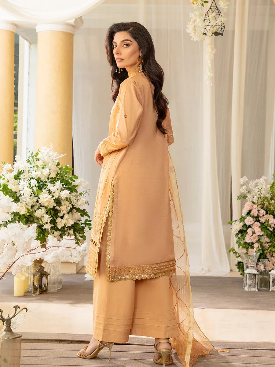 Jashn e Noor by Salitex Unstitched Embroidered 3 Piece Net SUNW7NO086 - Summer Collection