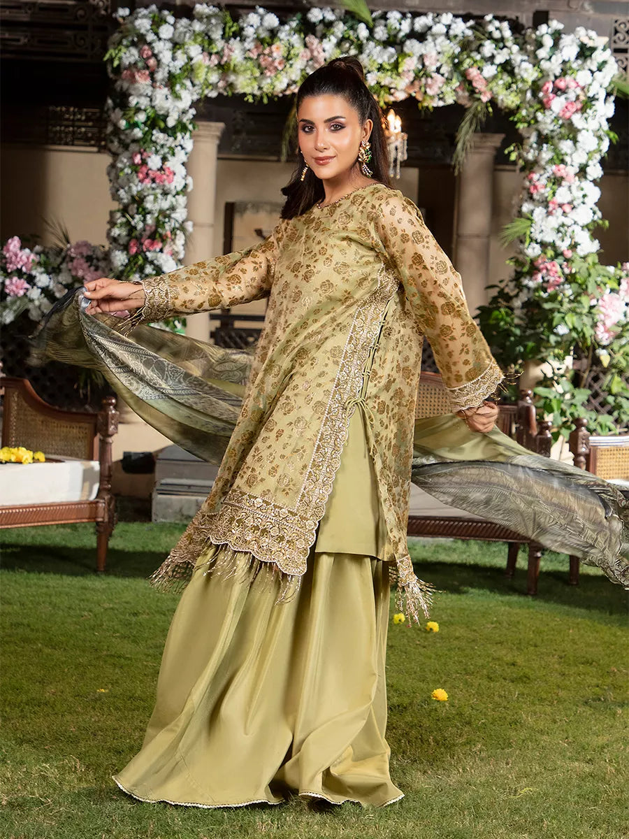 Jashn e Noor by Salitex Unstitched Embroidered 3 Piece Cotton Net SUNW7JI089 - Summer Collection