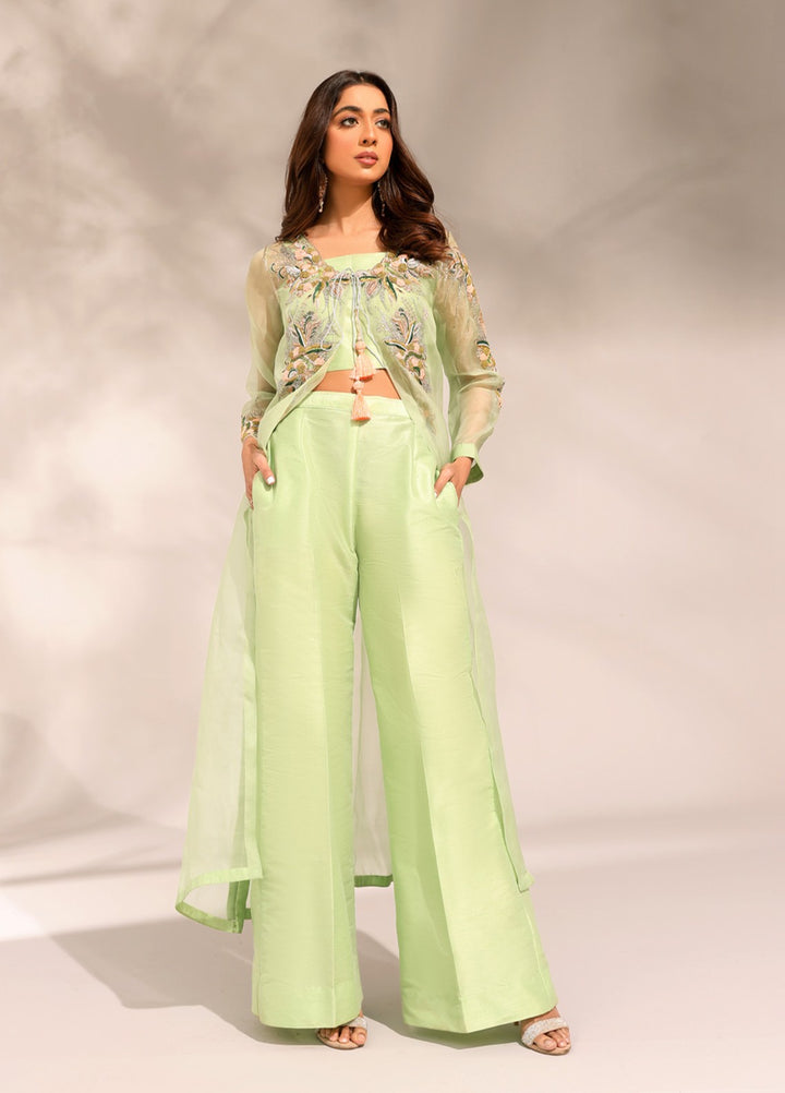 Manzilen by Ibraysha Women RTW Hand work Organza 4 Piece Suit Naznin - Festive Collection