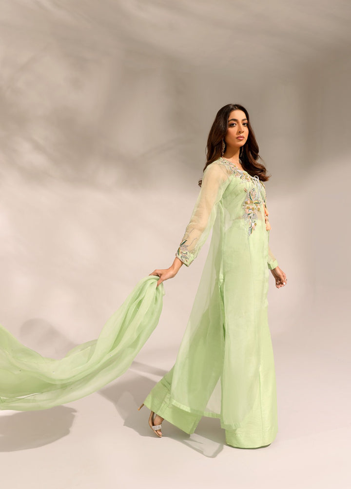 Manzilen by Ibraysha Women RTW Hand work Organza 4 Piece Suit Naznin - Festive Collection