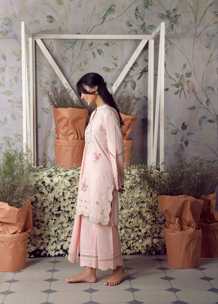 Sahar Women RTW Chikankari Cambric 3 Piece Suit LOTUS BLUSH Festive Collection