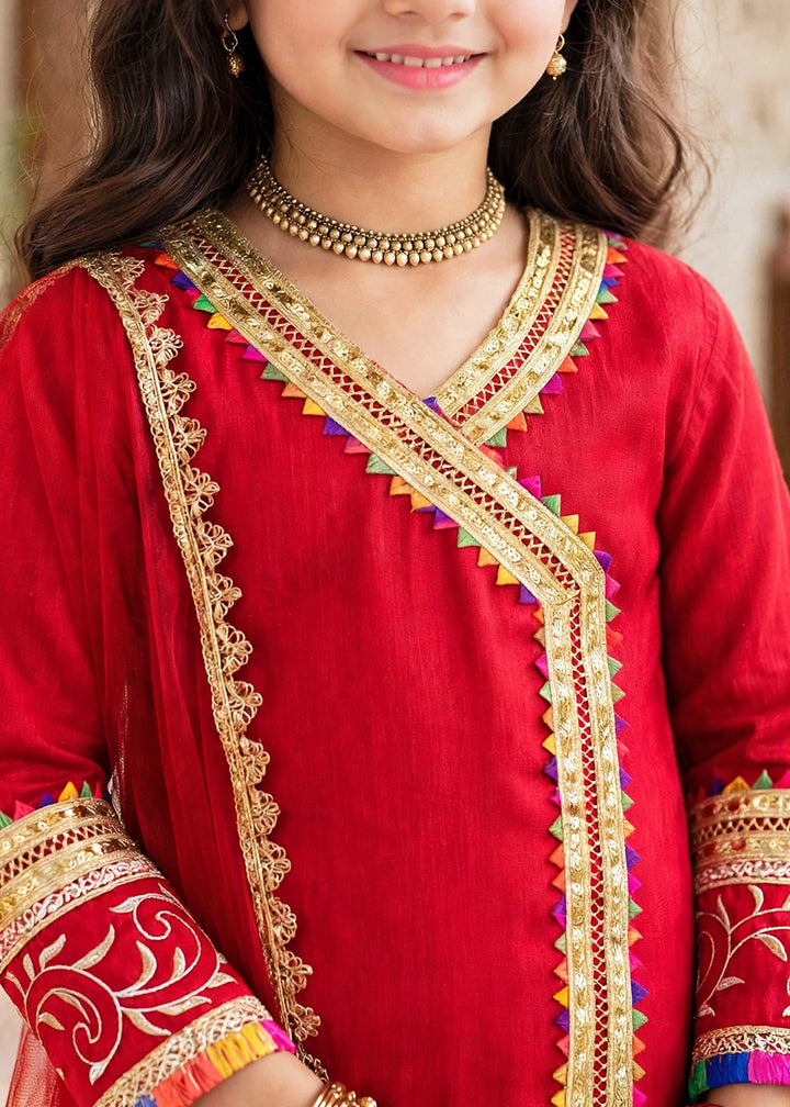 Modest Pret Emblished Raw Silk 3 Piece Suit Mah e Noor Red