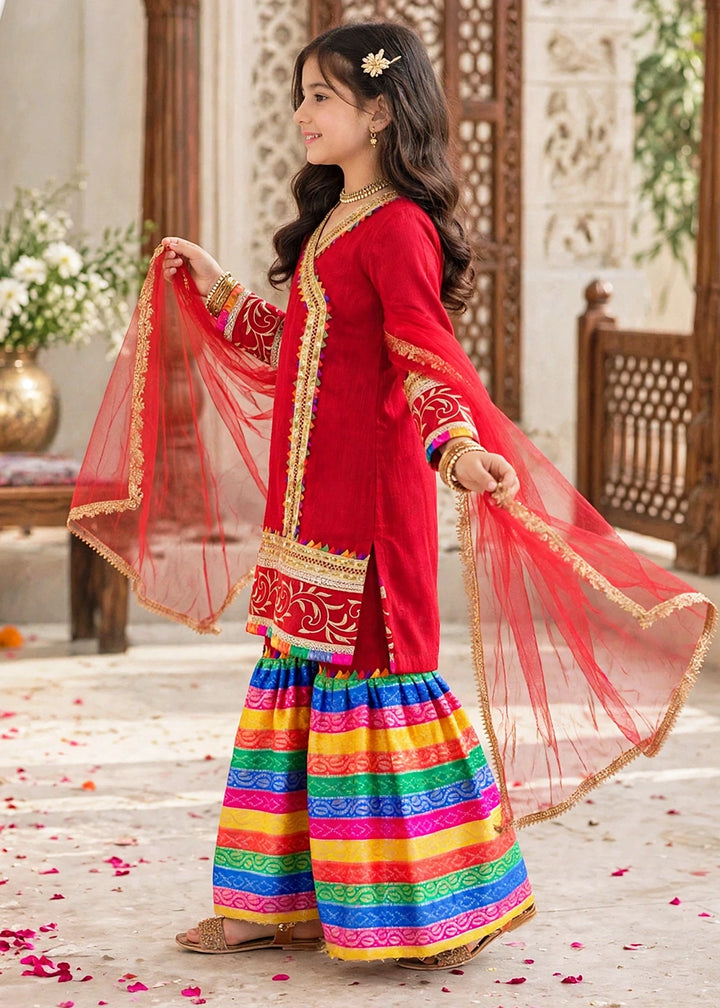 Modest Pret Emblished Raw Silk 3 Piece Suit Mah e Noor Red