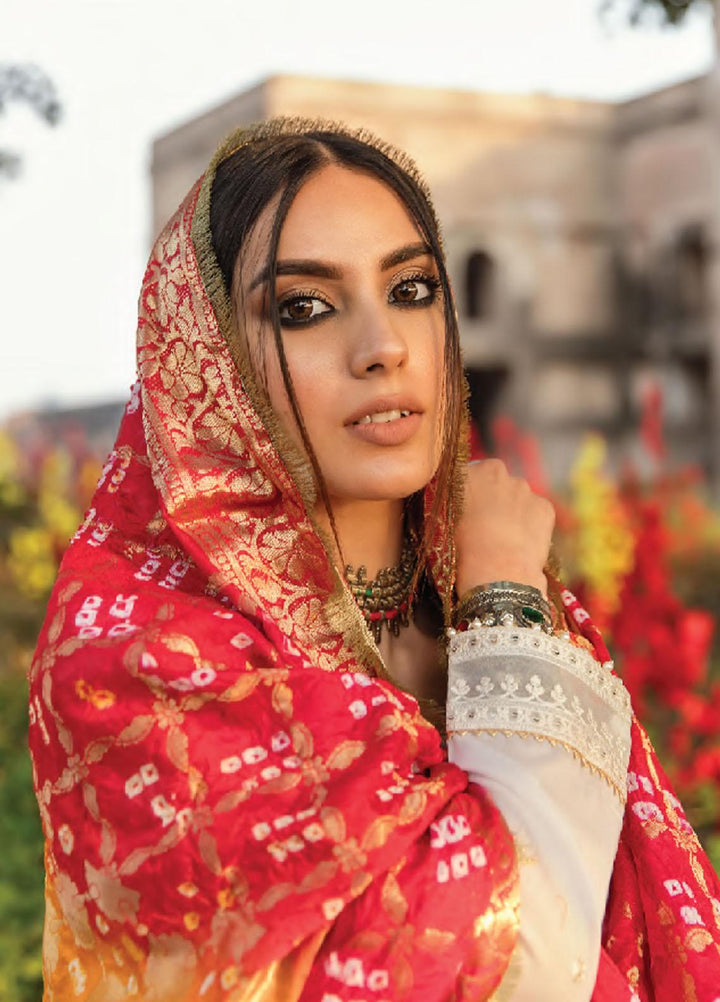 Dilara By Qalamkar Embroidered Lawn Suits Unstitched 3 Piece QLM21L 09 - Luxury Collection