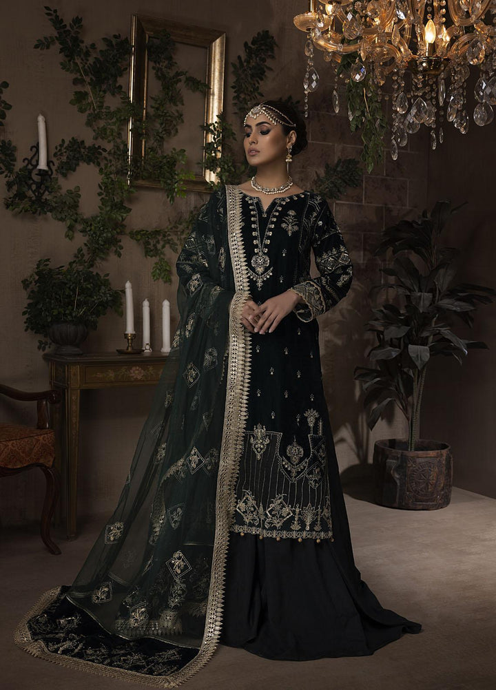 Raasti By Panache Embroidered Velvet Suits Unstitched 3 Piece PCH22R D-04 - Winter Collection