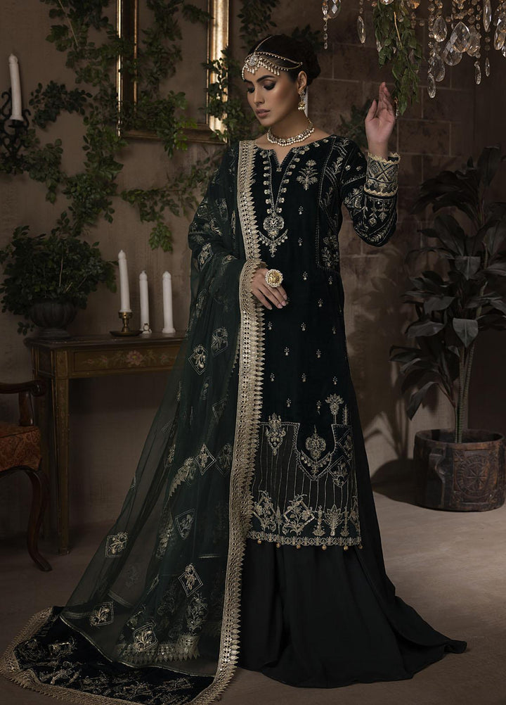 Raasti By Panache Embroidered Velvet Suits Unstitched 3 Piece PCH22R D-04 - Winter Collection