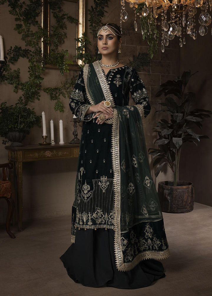 Raasti By Panache Embroidered Velvet Suits Unstitched 3 Piece PCH22R D-04 - Winter Collection
