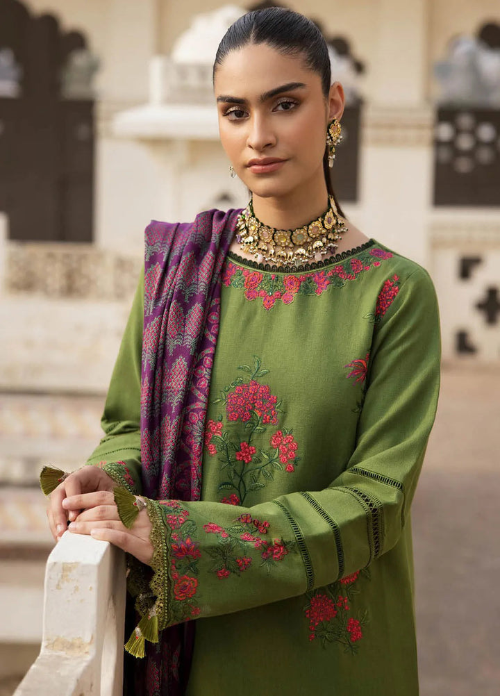 Rajbari Embroidered Karandi Suit Unstitched 3 Piece RB24W 2B - Winter Collection