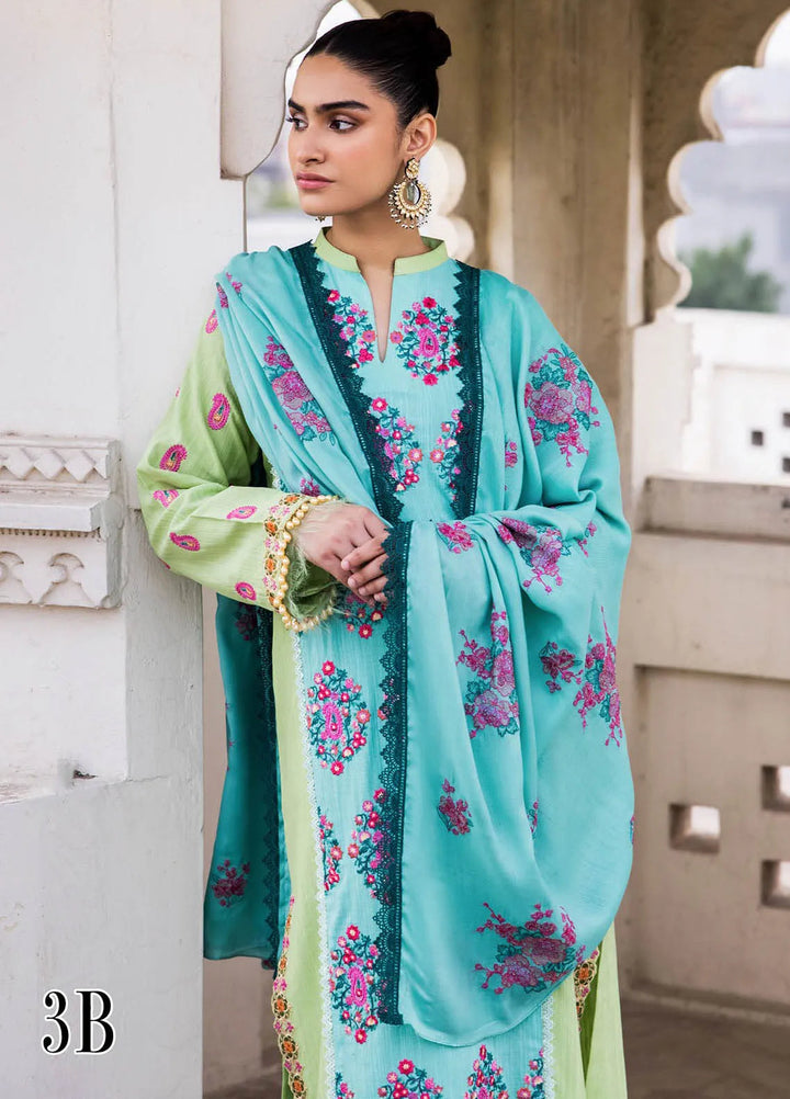 Rajbari Embroidered Khaddar Suit Unstitched 3 Piece RB24W 3B - Winter Collection