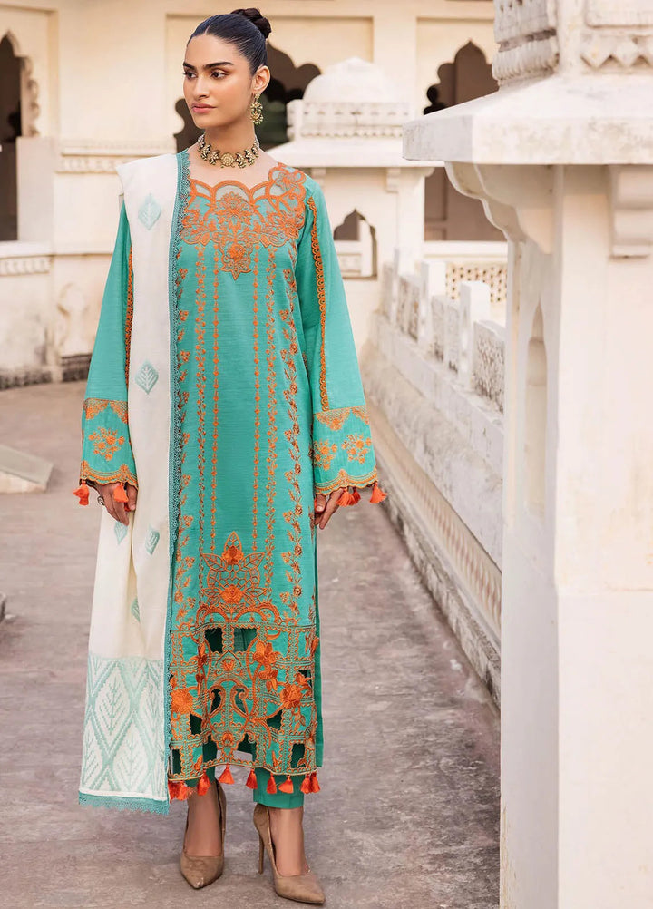 Rajbari Embroidered Khaddar Suit Unstitched 3 Piece RB24W 5B - Winter Collection