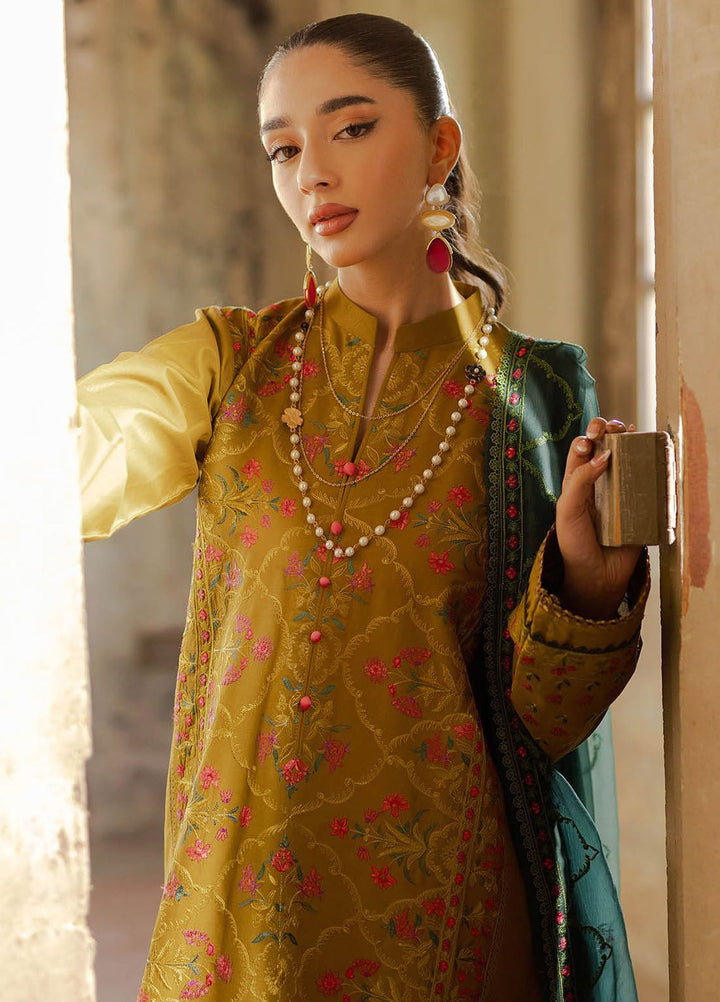 RajBari Embroidered Lawn Suit Unstitched 3 Piece RB24S 4-B - Summer Collection