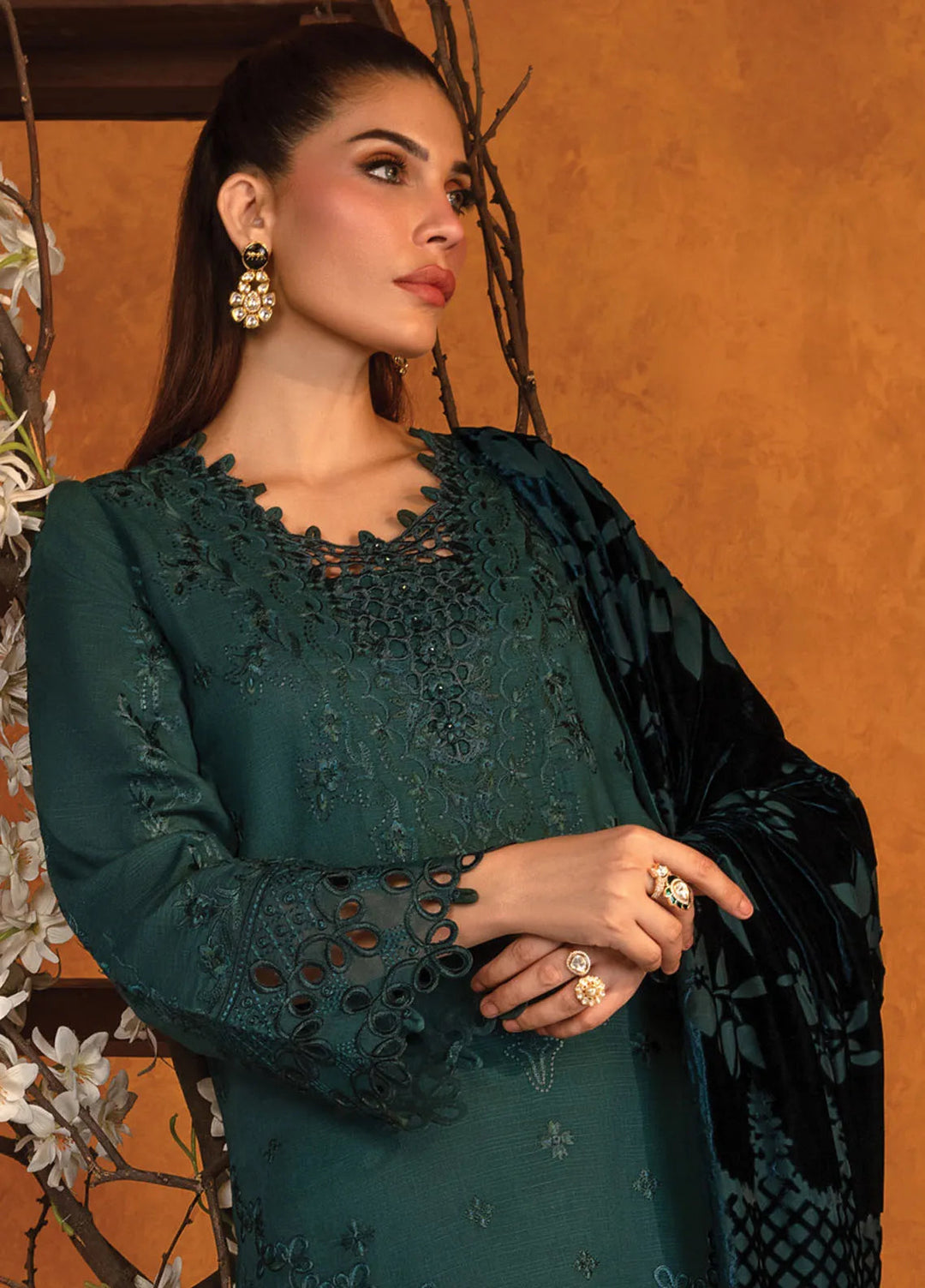 Rang Rasiya Embroidered Khaddar Suit Unstitched 3 Piece D-05 Affogato - Winter Collection