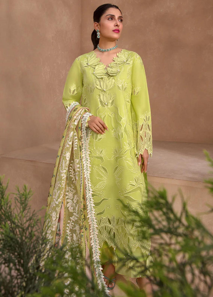 Rang Rasiya Embroidered Lawn Suits Unstitched 3 Piece RR23PE Lime - Eid Collection