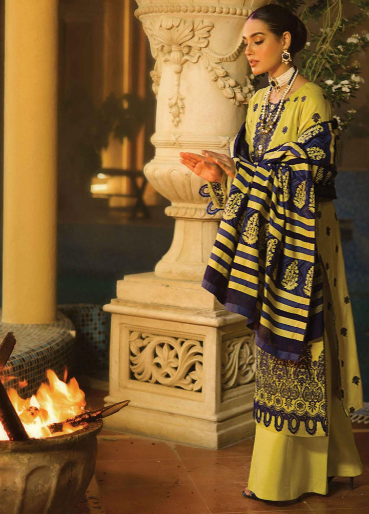 Rang Rasiya Embroidered Dobby Linen Suits Unstitched 3 Piece RR21PW D-12 THORON - Winter Collection