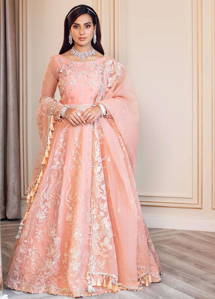 Ritzier By Rang Rasiya Embroidered Organza Suits Unstitched 3 Piece RRRZ22D2 Maya - Wedding Collection