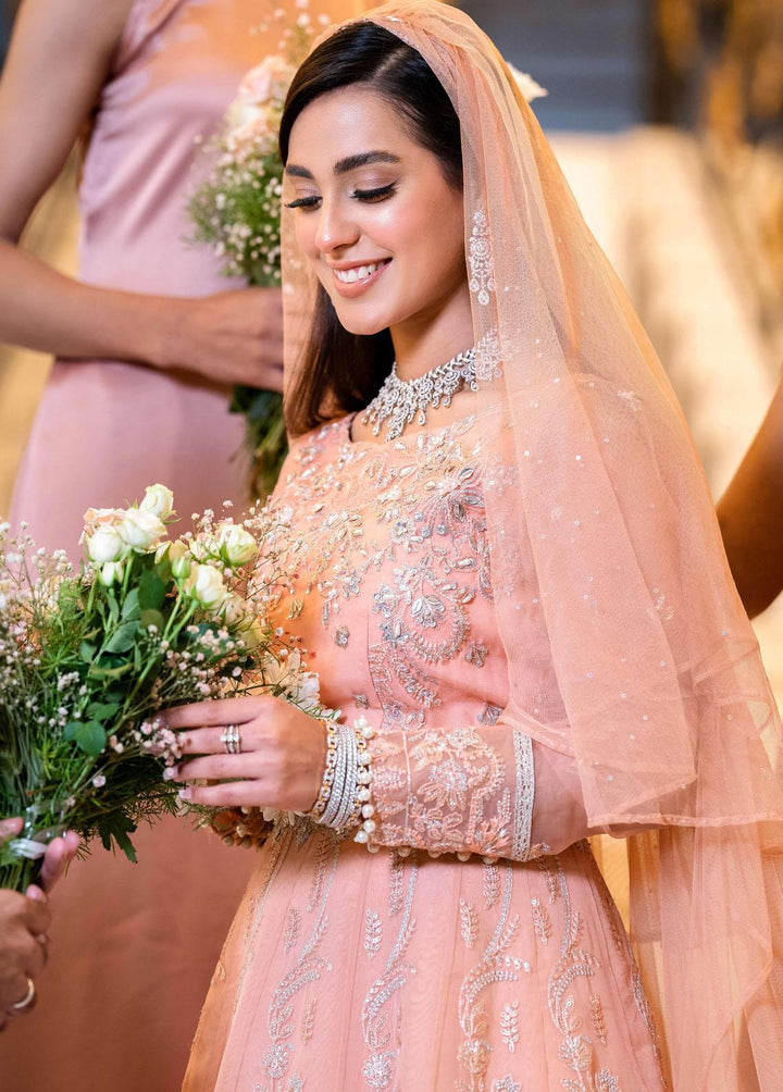 Ritzier By Rang Rasiya Embroidered Organza Suits Unstitched 3 Piece RRRZ22D2 Maya - Wedding Collection