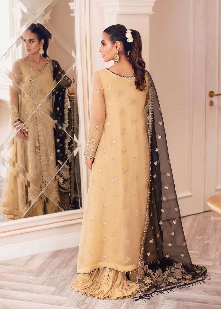 Ritzier By Rang Rasiya Embroidered Organza Suits Unstitched 3 Piece RRRZ22D10 Nisha - Wedding Collection