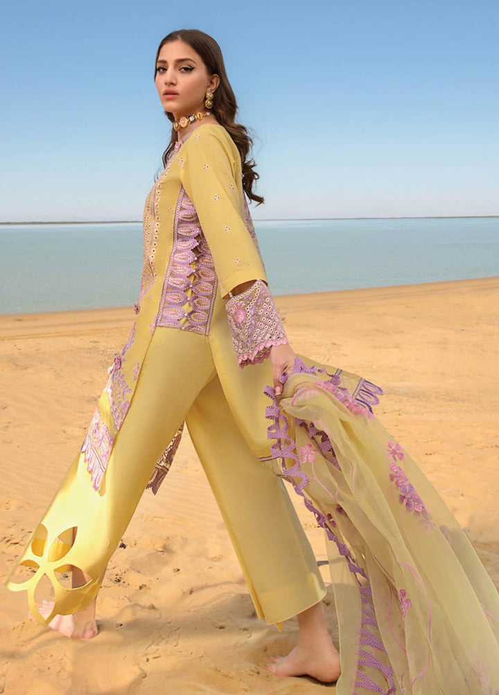 Rang Rasiya Embroidered Lawn Suits Unstitched 3 Piece RR23SP 05 Isabella - Premium Collection