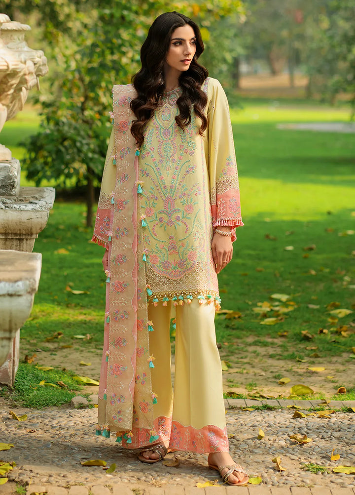 Rania by Hana Embroidered Lawn Suit Unstitched 3 Piece HN25RS Nur - KSL25-03 - Summer Collection