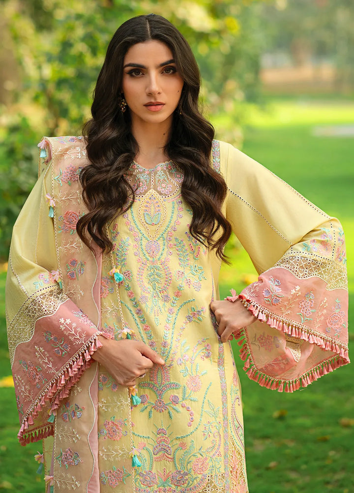 Rania by Hana Embroidered Lawn Suit Unstitched 3 Piece HN25RS Nur - KSL25-03 - Summer Collection