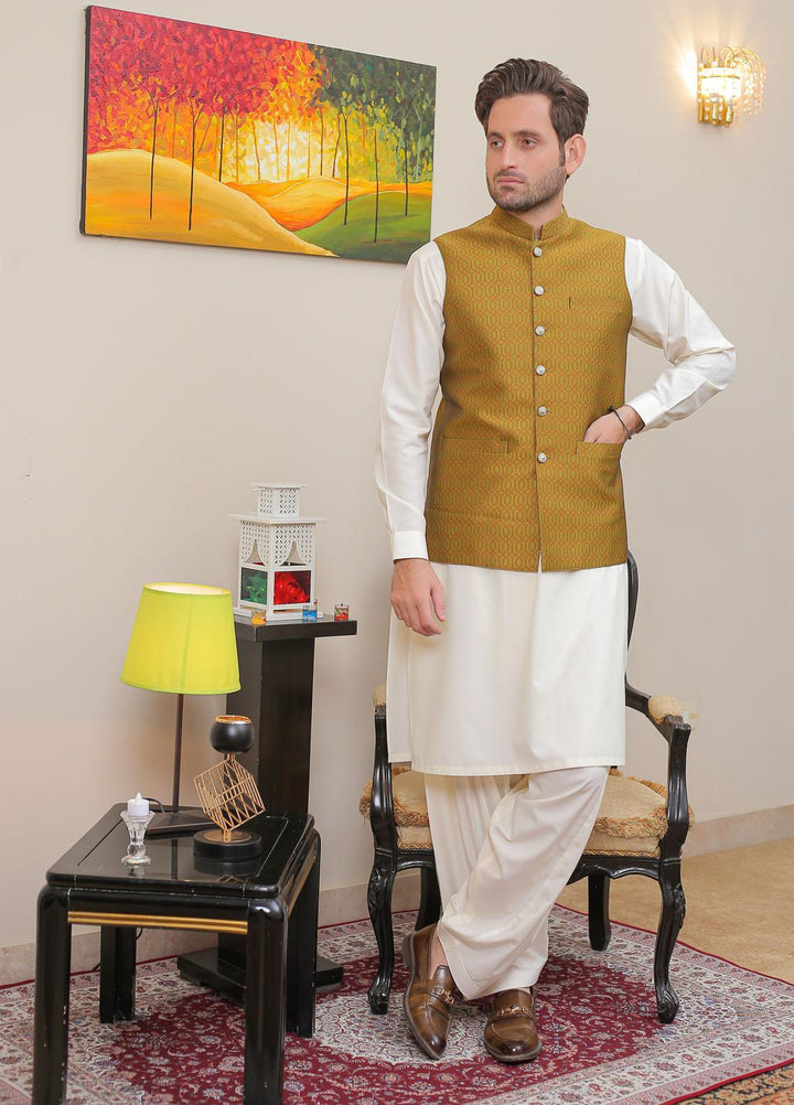 Real Image  Formal Waistcoat for Men -  WP - 153 Grn Rust