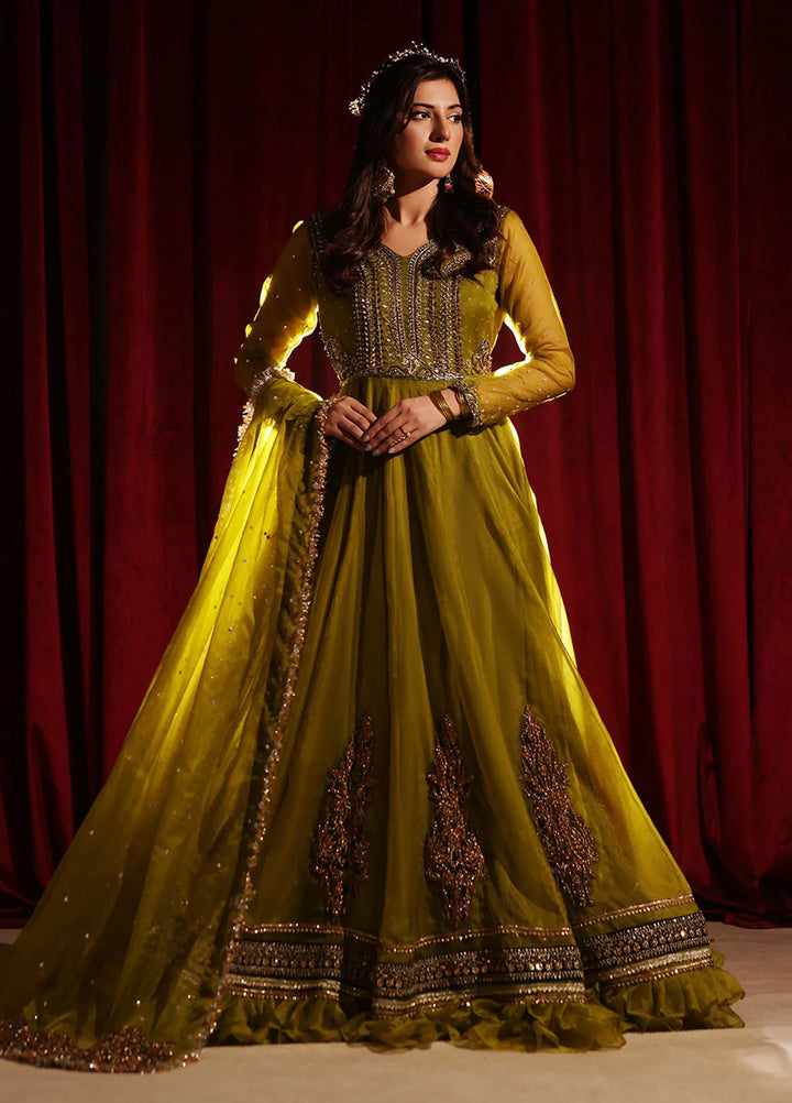 Rehan N Muzammil Pret Embroidered Organza 2 Piece Suit Dil Nasheen