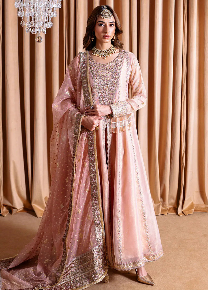 Rema by Faiza Faisal Embroidered Net Suit Unstitched 3 Piece FFX24R D-03 Inaya - Formals Collection