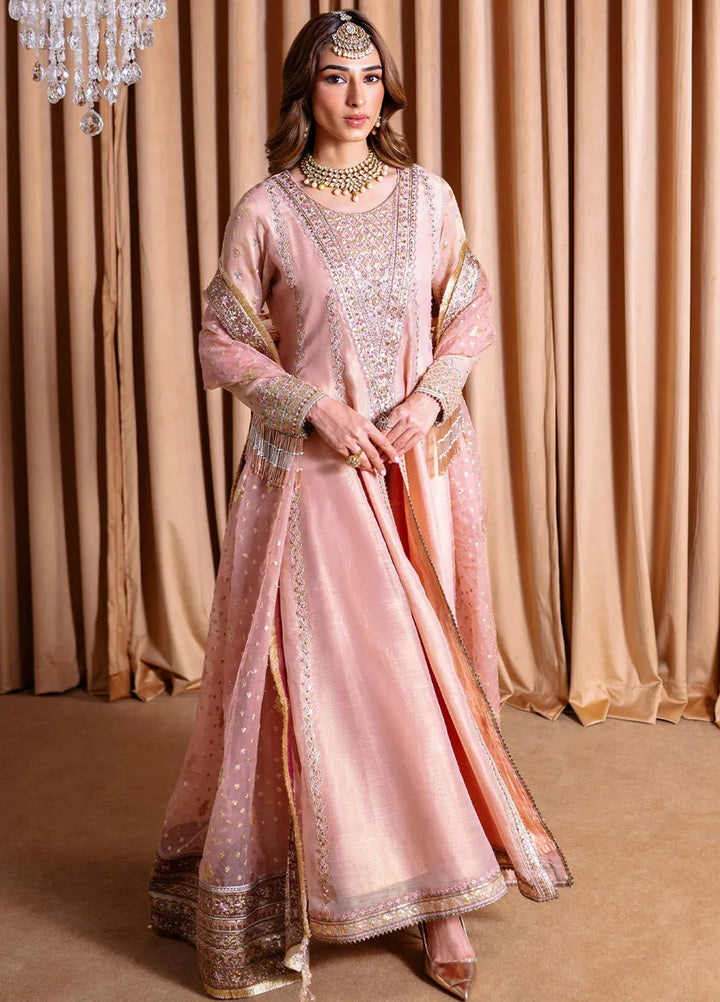 Rema by Faiza Faisal Embroidered Net Suit Unstitched 3 Piece FFX24R D-03 Inaya - Formals Collection