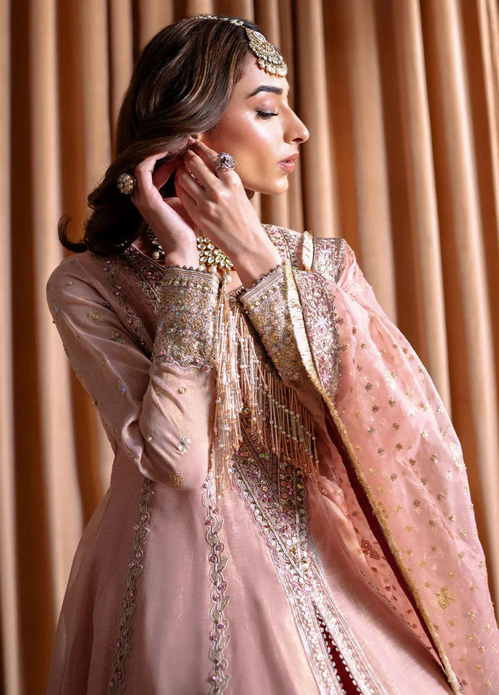 Rema by Faiza Faisal Embroidered Net Suit Unstitched 3 Piece FFX24R D-03 Inaya - Formals Collection